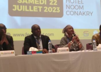 Mariam Sy aux acteurs du football “ le 30 novembre, nous allons vous rendre avec un grand plaisir la Feguifoot”