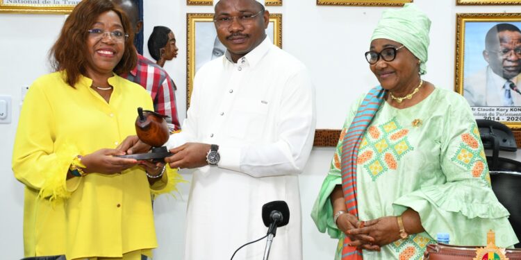 Compendium des compétences Féminines de Guinée: une délégation ivoirienne reçue au CNT