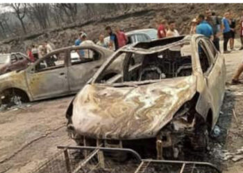Au moins 34 morts dans de violents incendies en Algérie