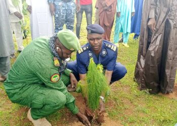 Campagne nationale de reboisement : le sous-préfet de Maci procède au lancement officiel local dans le district de Ley Tangan