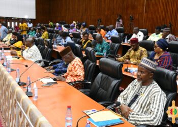 Ratification au CNT de la convention financière entre l&rsquo;Association Internationale de Développement (IDA) et la République de Guinée