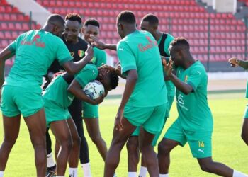 Classement FIFA : la Guinée intègre le Top 15 africain