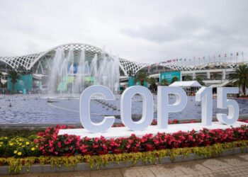 Nairobi : Les délégués à la Convention des Nations Unies sur la biodiversité passent de l&rsquo;accord à l&rsquo;action en concluant la COP 15 (communiqué)