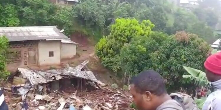 23 morts dans un éboulement au Cameroun