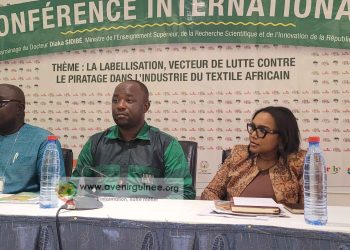 Contre le piratage: des acteurs en discussion au cours d&rsquo;une conférence internationale, à Conakry