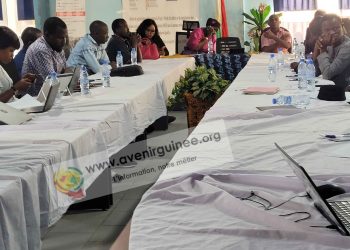 La cohabitation entre sociétés minières et communautés au centre d&rsquo;une rencontre, à Conakry