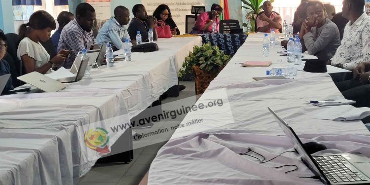 La cohabitation entre sociétés minières et communautés au centre d&rsquo;une rencontre, à Conakry