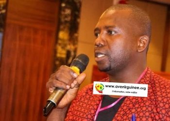 Stabilité des prix du bois en Guinée : entretien avec le président de l&rsquo;UNMTG, M. Amara Touré