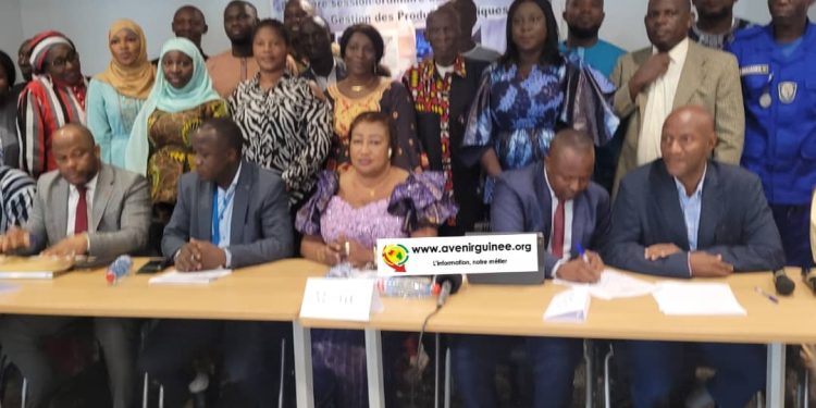 Maîtrise des produits chimiques : première session ordinaire du Conseil National de Gestion des Produits Chimiques (CNGPC) à Conakry