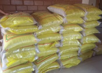 Ramadan : la mère du président de la transition offre des vivres à la presse