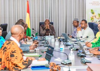 Dossier des enseignants contractuels : le PM Bah Oury échange avec les acteurs