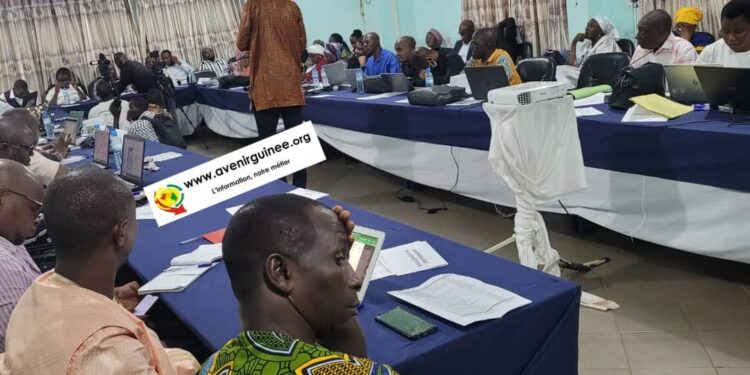 Lancement à Conakry des travaux de la revue semestrielle des données de la Direction Régionale de la Santé