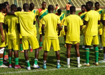 Syli Local : Souleymane Abedi remplace Mamadouba Gaucher (décision)