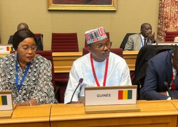 Travaux de la commission politique de l&rsquo;Assemblée Parlementaire de la Francophonie: Dr Dansa vante les acquis de la Transition guinéenne