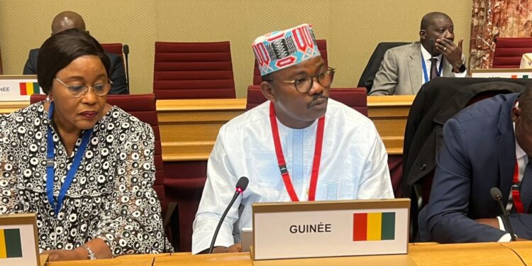 Travaux de la commission politique de l&rsquo;Assemblée Parlementaire de la Francophonie: Dr Dansa vante les acquis de la Transition guinéenne