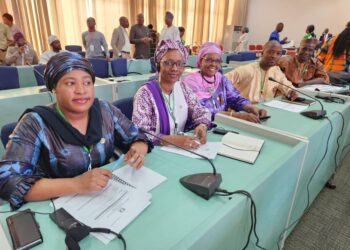 Clôture de la session inaugurale de la 6è législature de la CEDEAO: implication significative de la Guinée