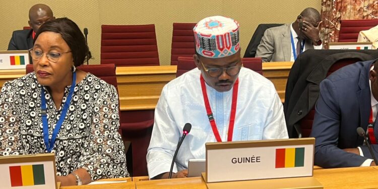 Discours intégral de Dr Dansa Kourouma aux travaux de la commission politique de l’Assemblée Parlementaire de la Francophonie  