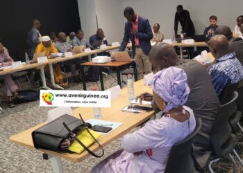 PlanetGOLD Guinée : l&rsquo;expert du PNUE échange avec les acteurs impliqués dans le projet