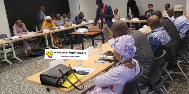 PlanetGOLD Guinée : l&rsquo;expert du PNUE échange avec les acteurs impliqués dans le projet