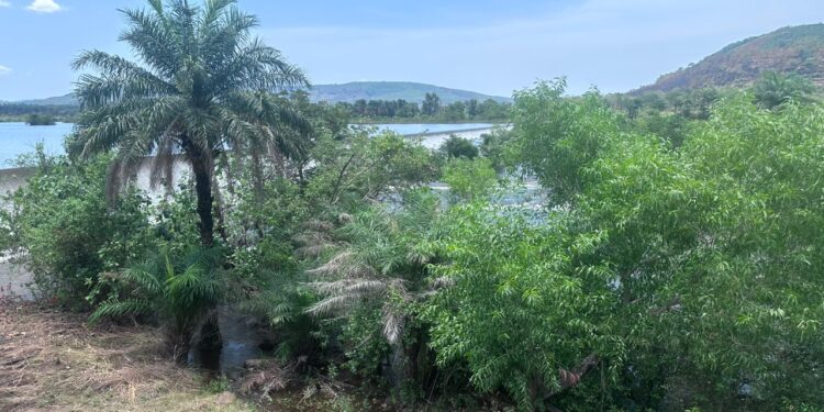 Le Groupe UMS accompagne le grand projet de réhabilitation des têtes de sources des barrages hydroélectriques de Garafiri, Donkéah, Banéah et les Grandes Chutes dans la préfecture de Kindia afin d’améliorer la desserte en courant dans le pays