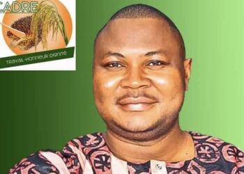 Daniel Kolié critique la déclaration de la MAOG : « il y a véritablement lieu de s&rsquo;inquiéter… »