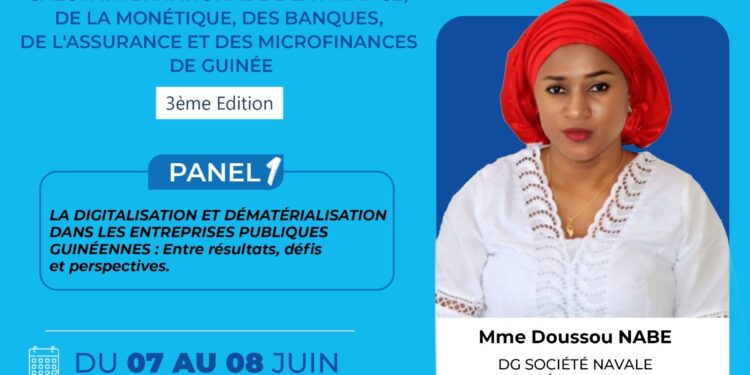 Digitalisation des entreprises publiques guinéennes: la société navale guinéenne entre performance et vision