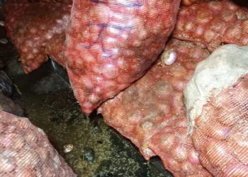Saisie de sacs d&rsquo;oignons pourris au marché Gbessia