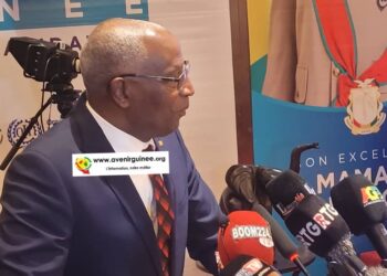 Délestage électrique : « au mois de juillet de l’année prochaine, ce que nous sommes en train de vivre aujourd’hui sera un lointain souvenir », promet Bah Oury