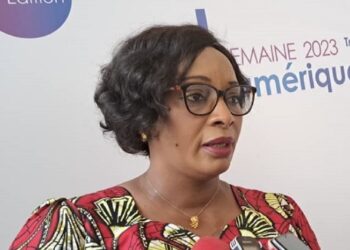 « Certains partis politiques ont transformé une annexe en bureau, d&rsquo;autres utilisent leur salon comme siège national » ( Mme Camara Djenabou Touré du MATD)