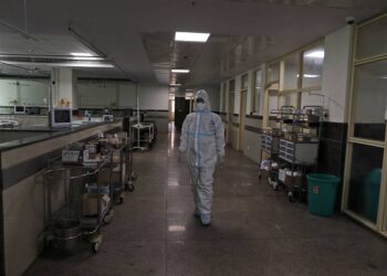 Inde: le virus rare champirura tue au moins 16 personnes
