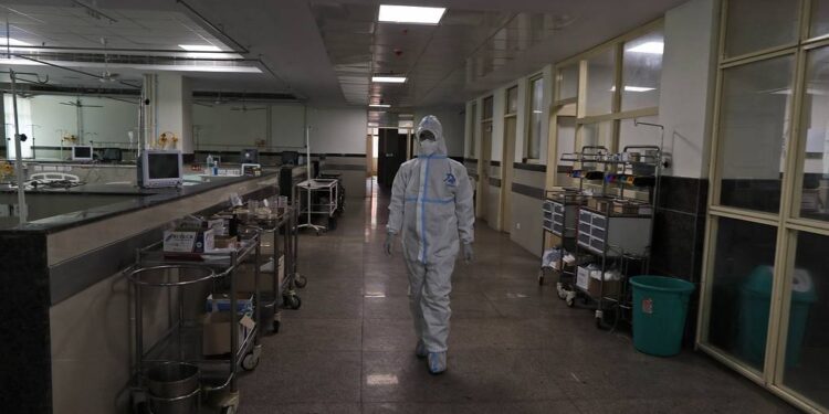 Inde: le virus rare champirura tue au moins 16 personnes