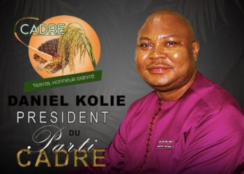 Sortons de la méthode de lutte que Mr Alpha Condé nous a imposé (Par Daniel Kolié)