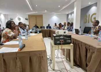 Mise en œuvre des décisions de la Cour de justice de la CEDEAO : les Mêmes Droits pour Tous (MDT) et l’IHRDA échangent avec les organisations guinéennes de défense des droits de l’homme