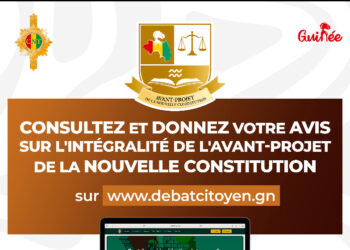 L&rsquo;intégralité de l&rsquo;avant-projet de la nouvelle Constitution disponible