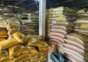 Dernière minute : près de 10 000 sacs de riz pourri saisis à Coyah