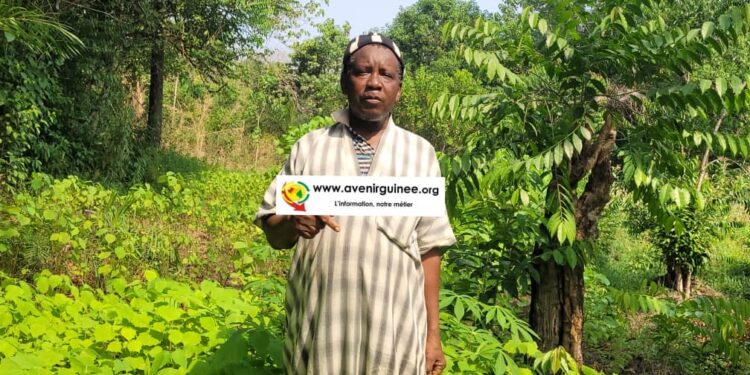 Kindia : des serpents sèment la terreur à Damouya, inquiétude croissante parmi les villageois