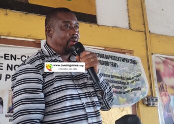 Toutes les élections en 2025 : le RPG critique la sortie du ministre Morissandan Kouyaté