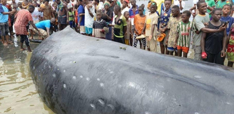 Matam: Badra Koné soutient une grande prière pour la paix et l’unité nationale