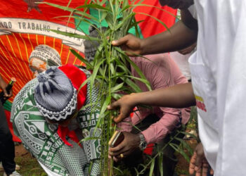 Guinée-Bissau/Centenaire de Amilcar CABRAL : le SG par intérim du PDG-RDA Oyé Béavogui, plante l&rsquo;arbre d&rsquo;honneur