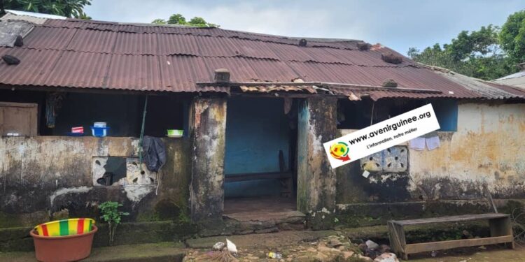 L’île Room : Un site touristique oublié aux portes de Conakry, entre promesses et désarroi