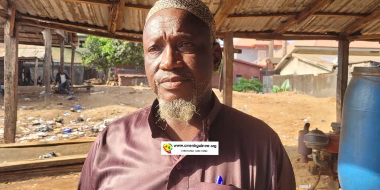 Reprise de l’exploitation du bois : « nous sommes satisfaits »