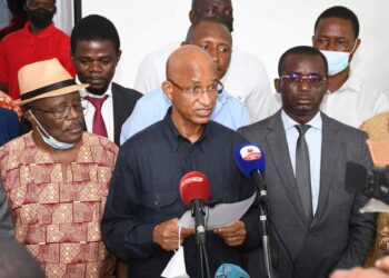L’ANAD remet un rapport aux Nations Unies avec ses préoccupations sur la transition guinéenne