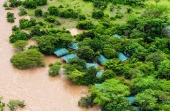 COP 29 : un accord de 300 milliards de dollars, qualifié d' »insuffisant » par le Sud