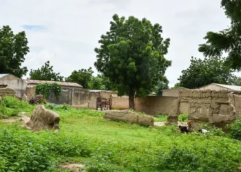 Plusieurs femmes et enfants se noient en fuyant une attaque de Boko Haram au Cameroun