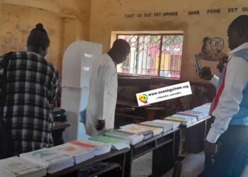 Élections législatives anticipées au Sénégal : les ressortissants sénégalais en Guinée mobilisés