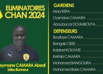 Championnat d&rsquo;Afrique des Nations: la liste des joueurs convoqués publiée