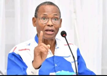 Ghana : une démocratie de première classe (Par Tierno Monénembo)