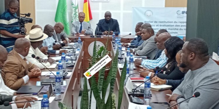 Marché du logement en Guinée : tenue d’un important atelier de restitution, à Conakry
