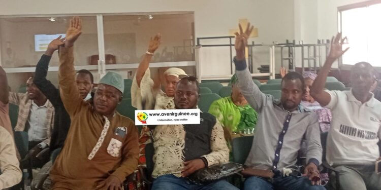Offensive syndicale dans l&rsquo;enseignement supérieur : l&rsquo;USECCG installe ses bureaux à Conakry