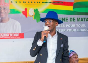 L’hypocrisie politique et le paradoxe de la démission ( Par Badra Koné)